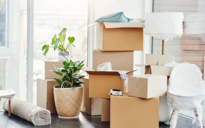 Cinque Consigli Essenziali per Affrontare un Trasloco Senza Stress